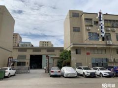 标准厂房，房东直租，0公摊，可分租可整租